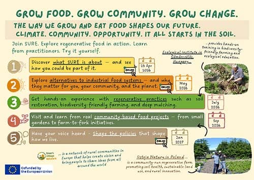 Food strand document
