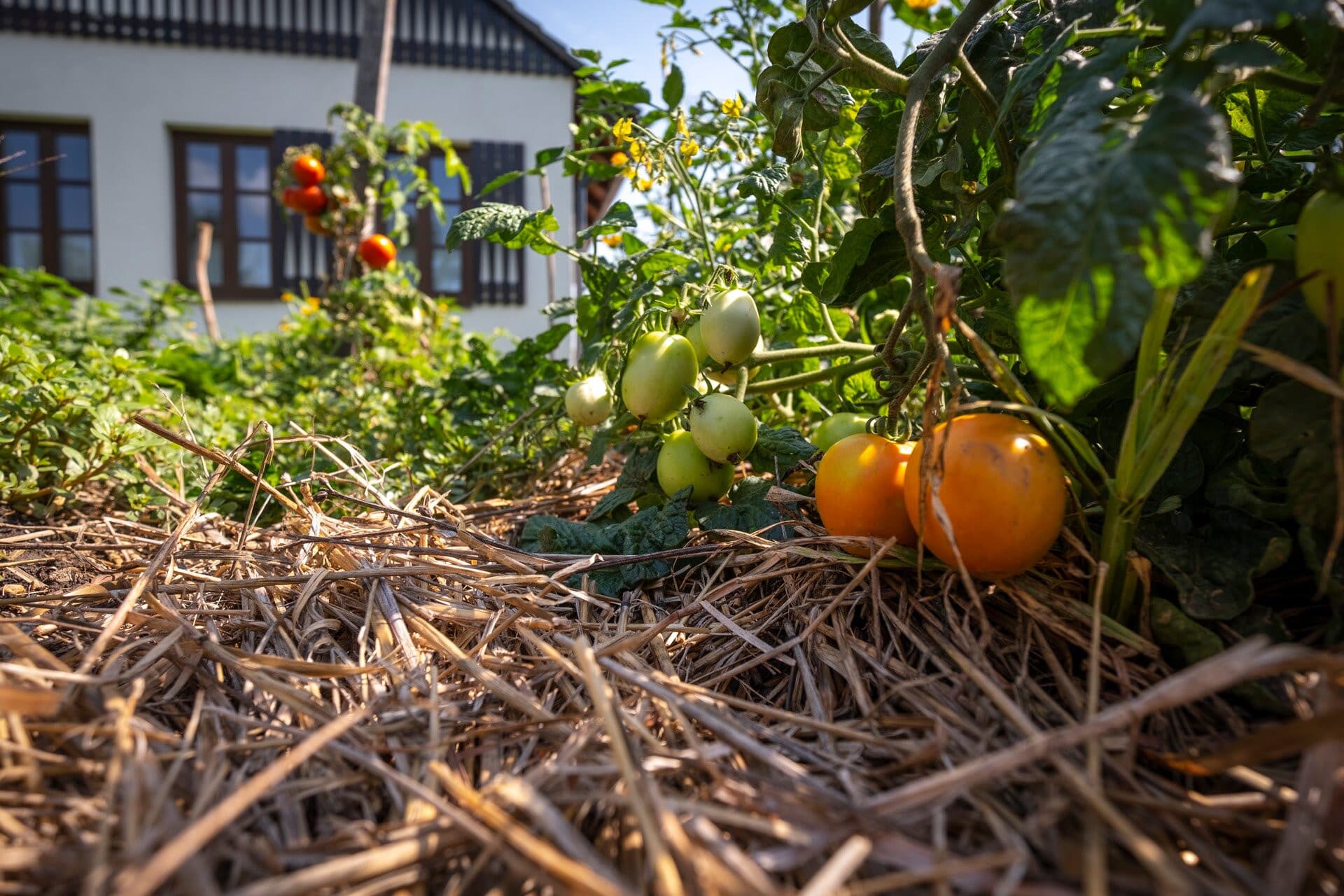 SURE - Sustainable and Resilient Communities