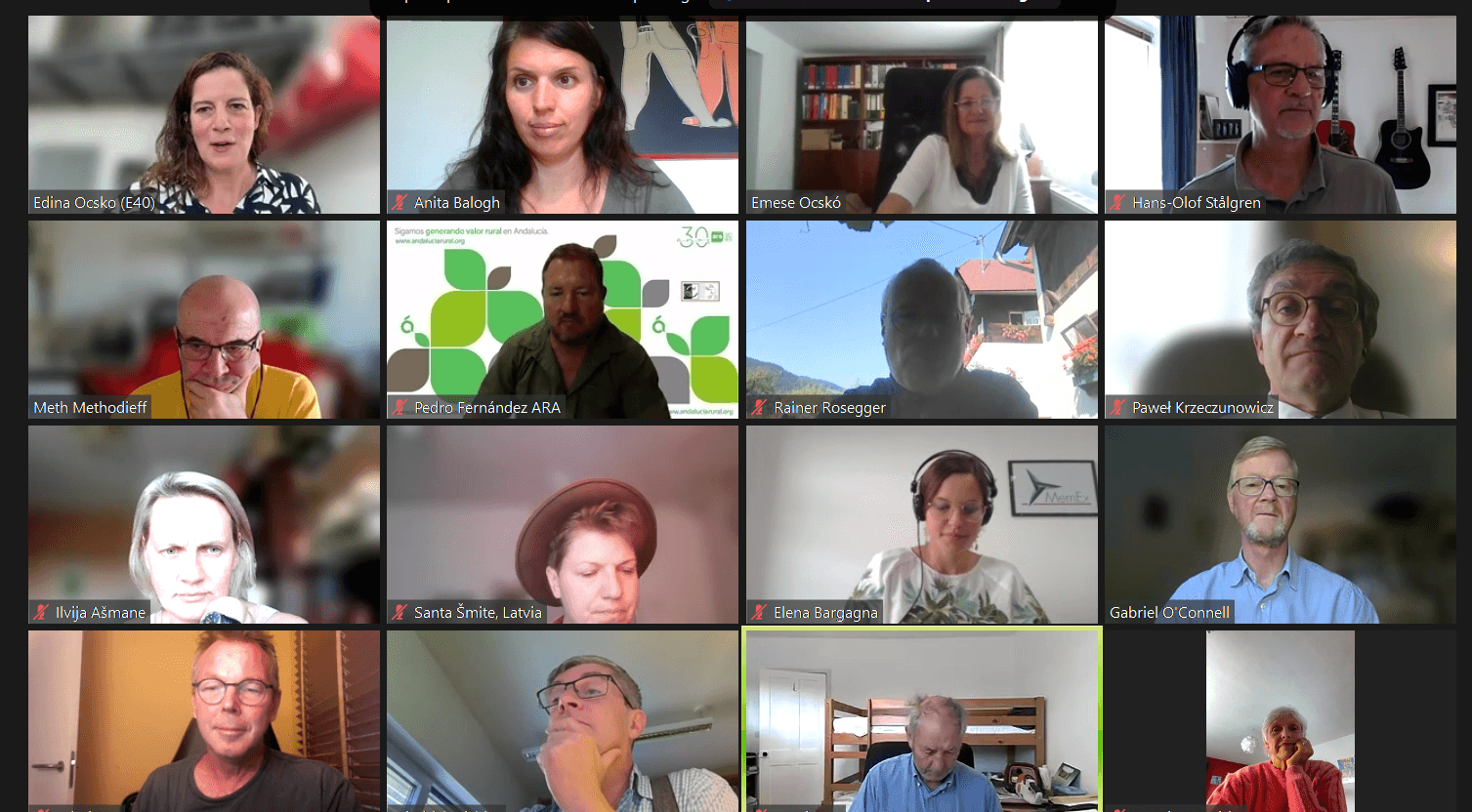 Online Smart Village Network Meeting