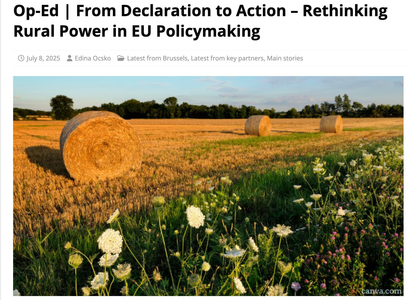 Rethinking Rural Power in EU Policymaking