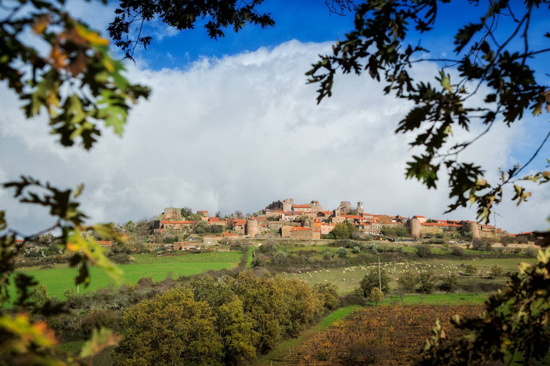 Castel Rodrigo